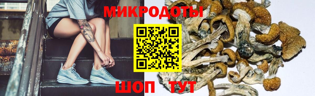Каспийск  Псилоцибиновые грибы мицелий  Вход с VPN 